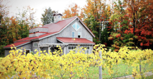 Grand Traverse Tours